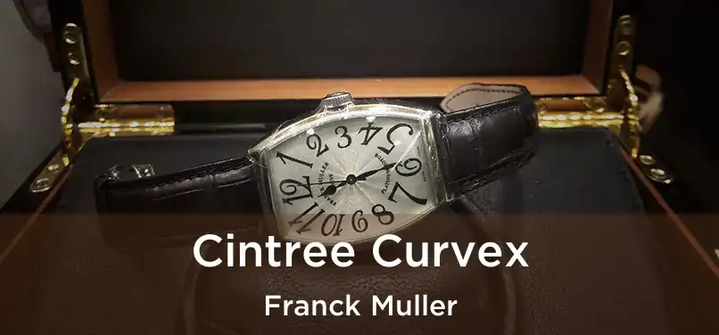 Cintree Curvex Franck Muller