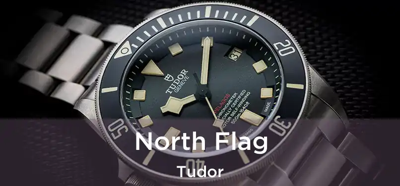  North Flag Tudor